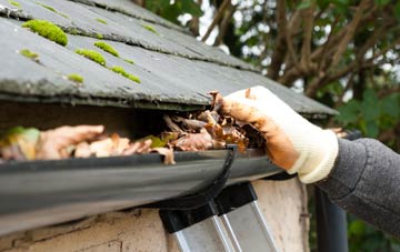 gutter cleaning Havant, Hampshire