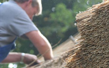 professional Havant thatchers